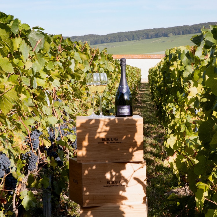 Krug Clos d'Ambonnay 2002 | クリュッグ シャンパン Krug Clos d'Ambonnay 2002 | クリュッグ シャンパン